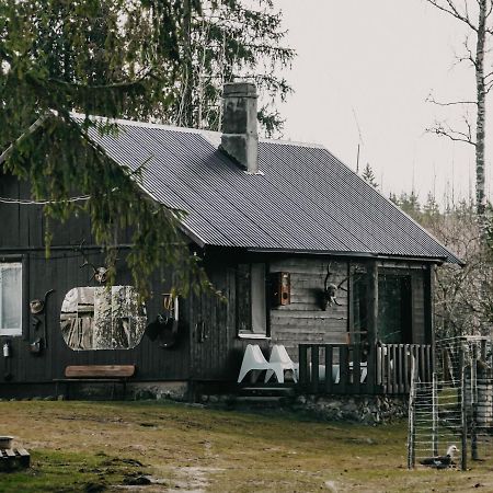 Private Farm Jakuzzi Sauna In The Forest Villa Talsi Esterno foto