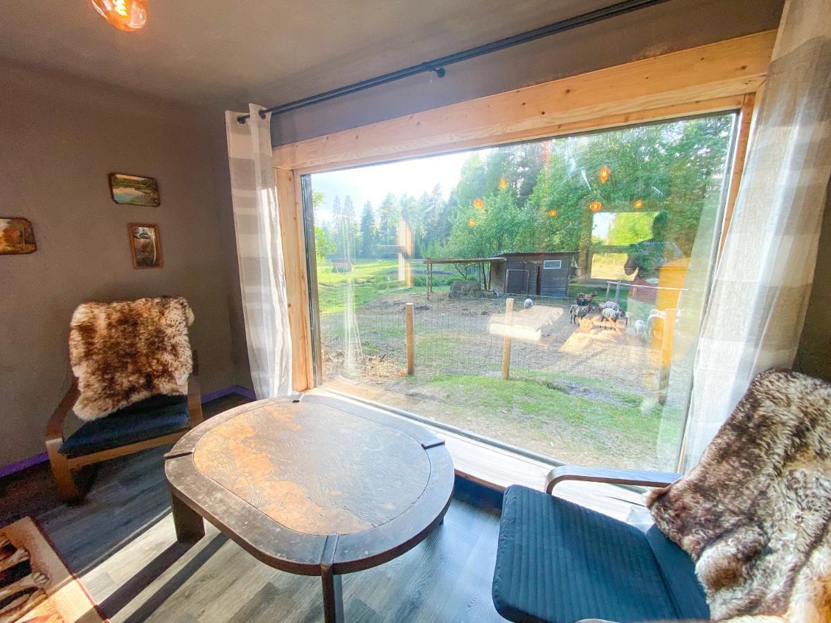 Private Farm Jakuzzi Sauna In The Forest Talsi Esterno foto