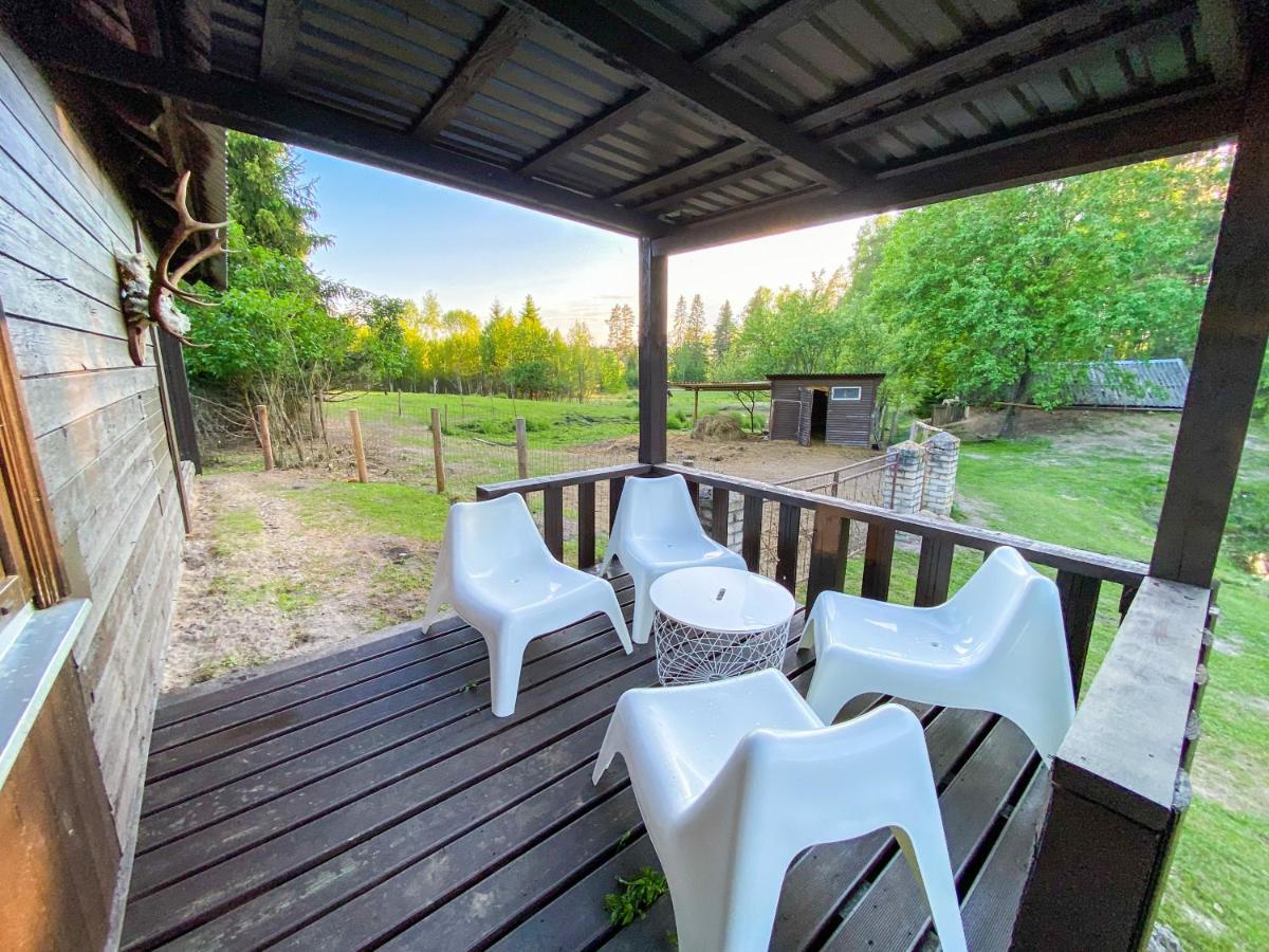 Private Farm Jakuzzi Sauna In The Forest Villa Talsi Esterno foto