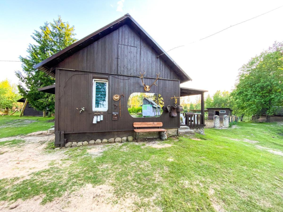 Private Farm Jakuzzi Sauna In The Forest Talsi Esterno foto