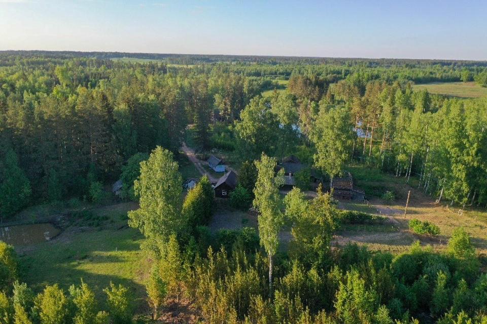 Private Farm Jakuzzi Sauna In The Forest Talsi Esterno foto