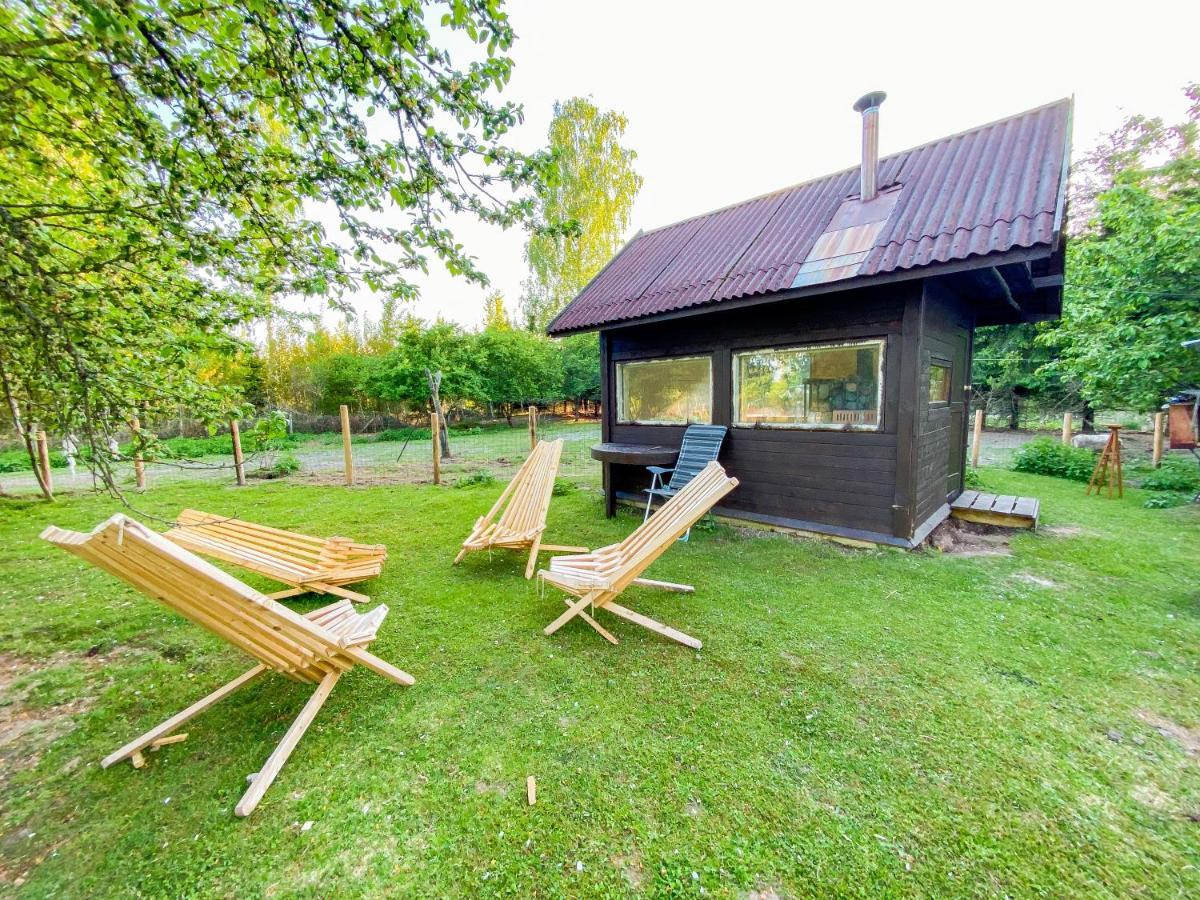 Private Farm Jakuzzi Sauna In The Forest Villa Talsi Esterno foto