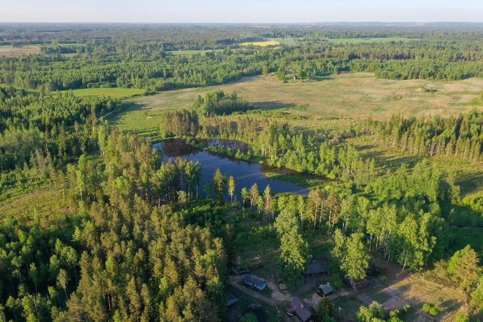 Private Farm Jakuzzi Sauna In The Forest Talsi Esterno foto