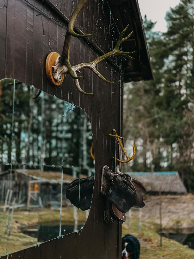 Private Farm Jakuzzi Sauna In The Forest Villa Talsi Esterno foto