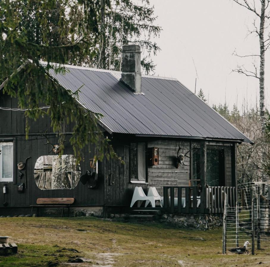 Private Farm Jakuzzi Sauna In The Forest Villa Talsi Esterno foto